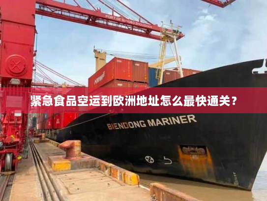 紧急食品空运到欧洲地址怎么最快通关？