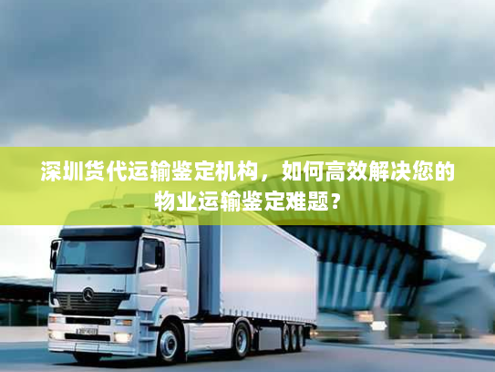 深圳货代运输鉴定机构，如何高效解决您的物业运输鉴定难题？