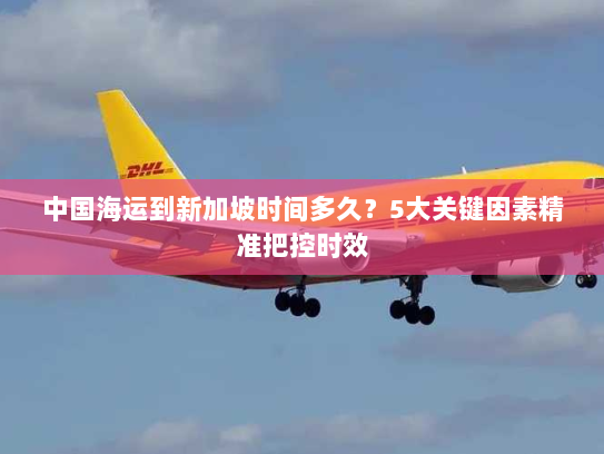 中国海运到新加坡时间多久？5大关键因素精准把控时效