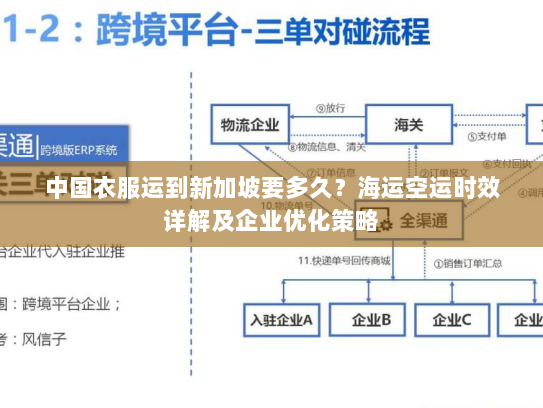 中国衣服运到新加坡要多久?海运空运时效详解及企业优化策略 中国衣服运到新加坡要多久?海运空运时效详解及企业优化策略