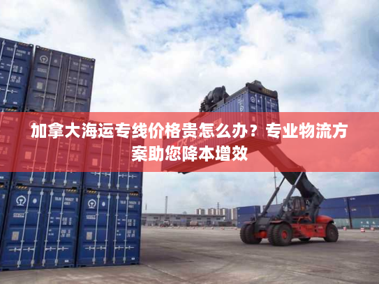 加拿大海运专线价格贵怎么办？专业物流方案助您降本增效