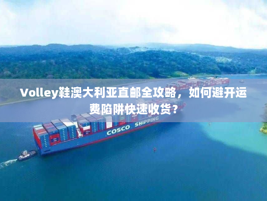 Volley鞋澳大利亚直邮全攻略，如何避开运费陷阱快速收货？