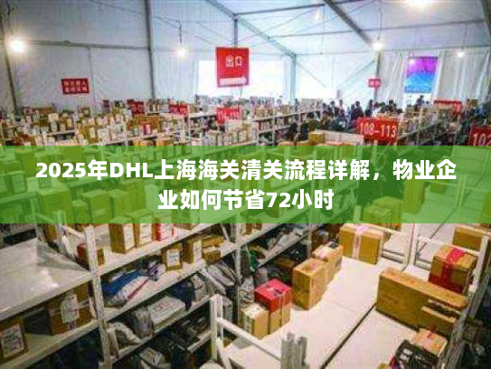 2025年DHL上海海关清关流程详解,物业企业如何节省72小时 2025年DHL上海海关清关流程详解,物业企业如何节省72小时