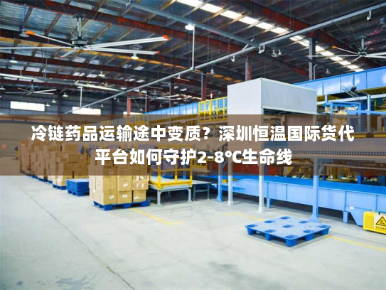 冷链药品运输途中变质？深圳恒温国际货代平台如何守护2-8℃生命线