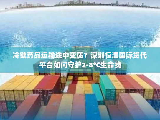 冷链药品运输途中变质？深圳恒温国际货代平台如何守护2-8℃生命线