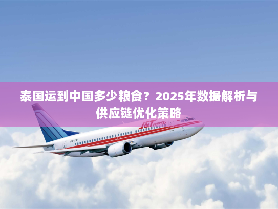 泰国运到中国多少粮食?2025年数据解析与供应链优化策略 泰国运到中国多少粮食?2025年数据解析与供应链优化策略