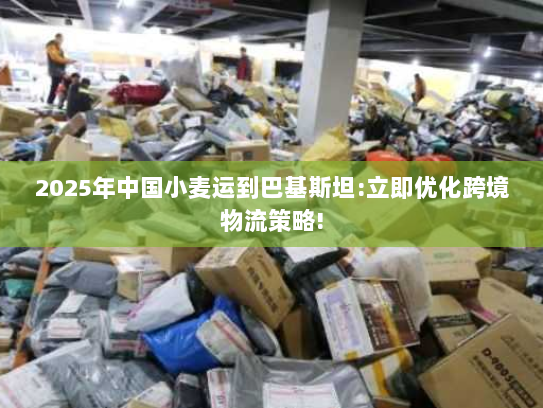 2025年中国小麦运到巴基斯坦:立即优化跨境物流策略!