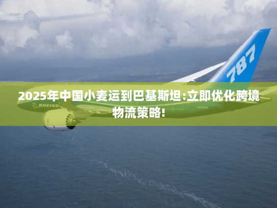 2025年中国小麦运到巴基斯坦:立即优化跨境物流策略!