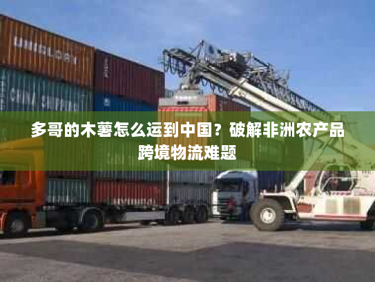 多哥的木薯怎么运到中国?破解非洲农产品跨境物流难题 多哥的木薯怎么运到中国?破解非洲农产品跨境物流难题