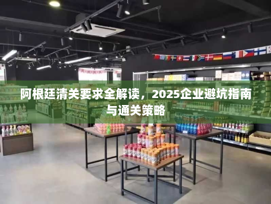 阿根廷清关要求全解读，2025企业避坑指南与通关策略