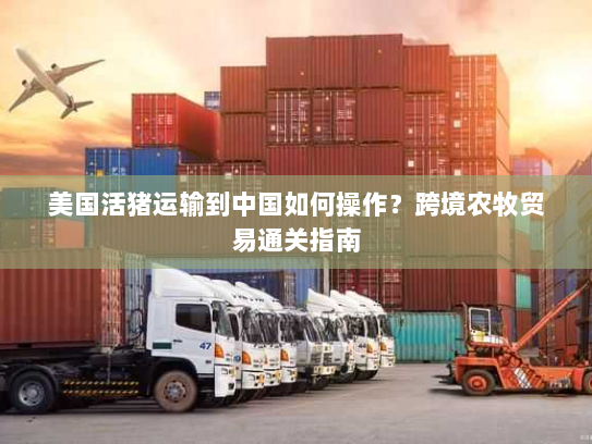 美国活猪运输到中国如何操作？跨境农牧贸易通关指南