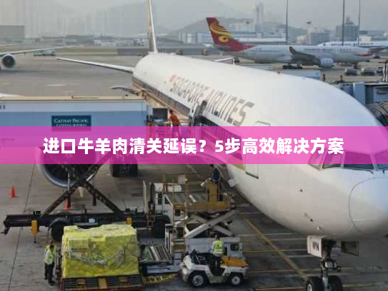进口牛羊肉清关延误?5步高效解决方案 进口牛羊肉清关延误?5步高效解决方案