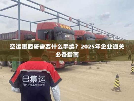 空运墨西哥需要什么手续?2025年企业通关必备指南 空运墨西哥需要什么手续?2025年企业通关必备指南