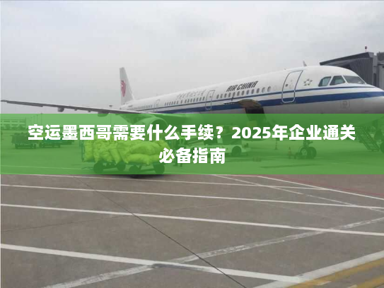 空运墨西哥需要什么手续?2025年企业通关必备指南 空运墨西哥需要什么手续?2025年企业通关必备指南