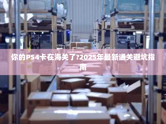 你的PS4卡在海关了?2025年最新通关避坑指南 你的PS4卡在海关了?2025年最新通关避坑指南