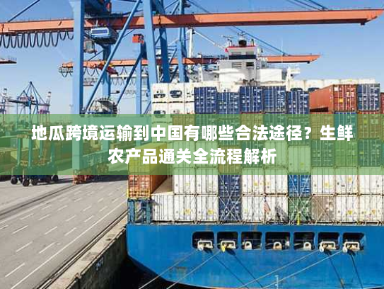 地瓜跨境运输到中国有哪些合法途径？生鲜农产品通关全流程解析