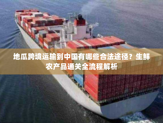 地瓜跨境运输到中国有哪些合法途径？生鲜农产品通关全流程解析