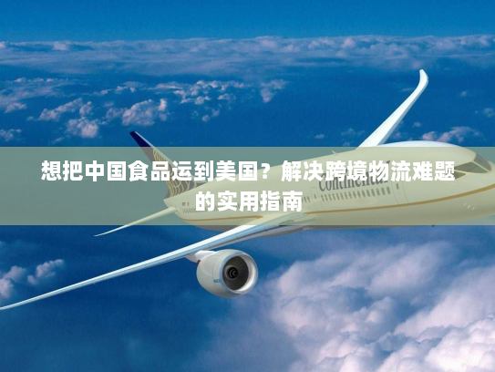 想把中国食品运到美国?解决跨境物流难题的实用指南 想把中国食品运到美国?解决跨境物流难题的实用指南