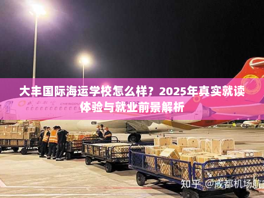 大丰国际海运学校怎么样？2025年真实就读体验与就业前景解析