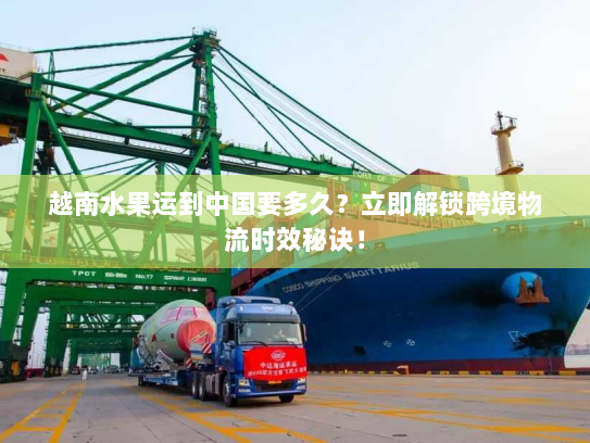 越南水果运到中国要多久？立即解锁跨境物流时效秘诀！