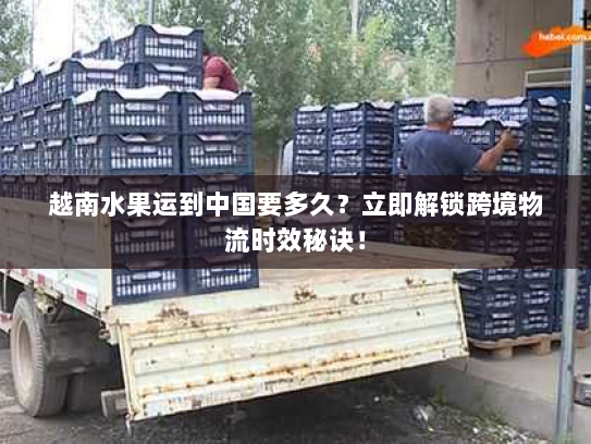 越南水果运到中国要多久？立即解锁跨境物流时效秘诀！