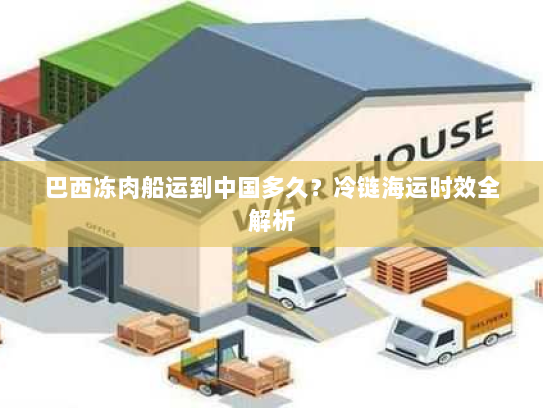 巴西冻肉船运到中国多久？冷链海运时效全解析