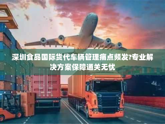 深圳食品国际货代车辆管理痛点频发?专业解决方案保障通关无忧
