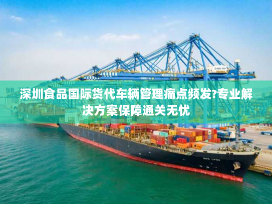 深圳食品国际货代车辆管理痛点频发?专业解决方案保障通关无忧