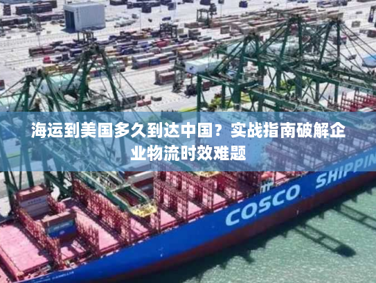 海运到美国多久到达中国？实战指南破解企业物流时效难题
