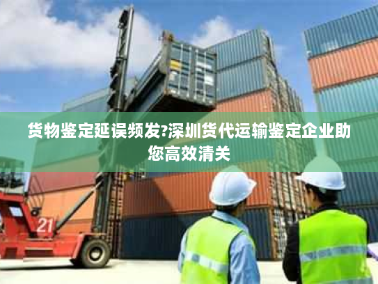 货物鉴定延误频发?深圳货代运输鉴定企业助您高效清关