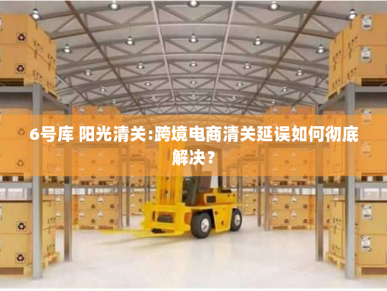 6号库 阳光清关:跨境电商清关延误如何彻底解决?