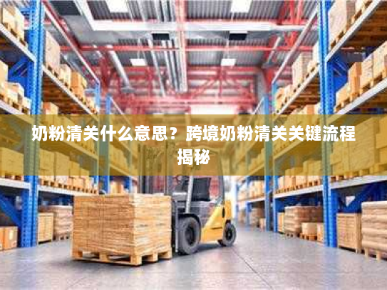 奶粉清关什么意思?跨境奶粉清关关键流程揭秘 奶粉清关什么意思?跨境奶粉清关关键流程揭秘
