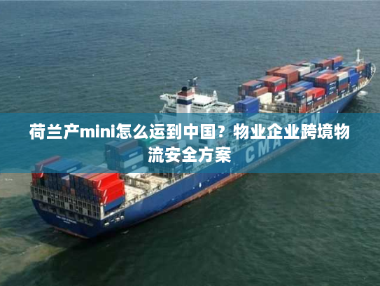 荷兰产mini怎么运到中国？物业企业跨境物流安全方案