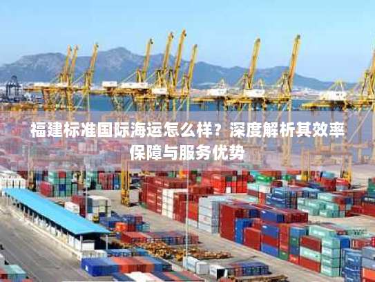福建标准国际海运怎么样?深度解析其效率保障与服务优势 福建标准国际海运怎么样?深度解析其效率保障与服务优势