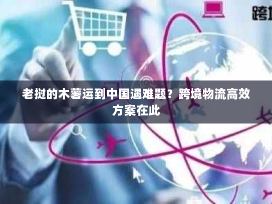 老挝的木薯运到中国遇难题？跨境物流高效方案在此