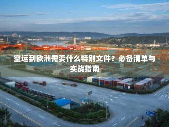 空运到欧洲需要什么特别文件?必备清单与实战指南 空运到欧洲需要什么特别文件?必备清单与实战指南