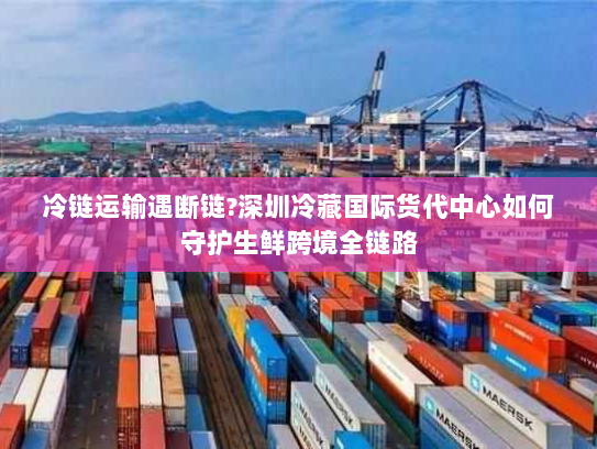 冷链运输遇断链?深圳冷藏国际货代中心如何守护生鲜跨境全链路