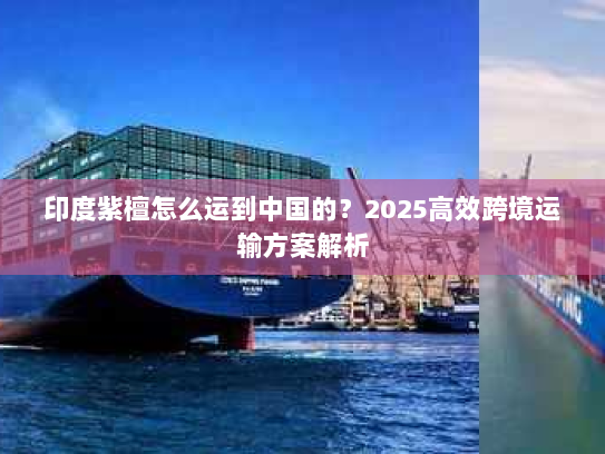 印度紫檀怎么运到中国的？2025高效跨境运输方案解析