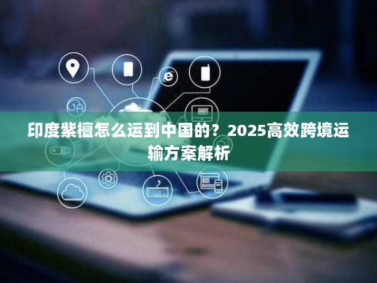 印度紫檀怎么运到中国的？2025高效跨境运输方案解析