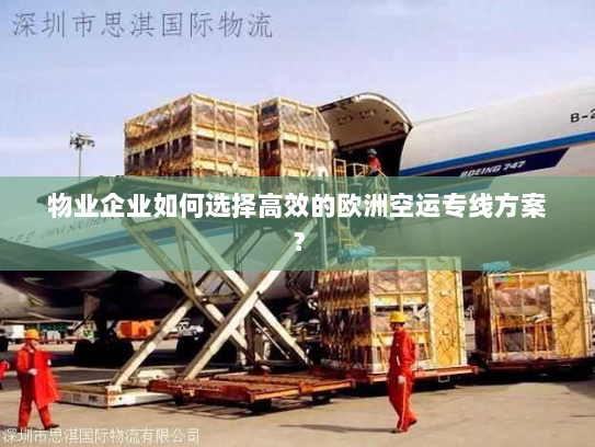 物业企业如何选择高效的欧洲空运专线方案？
