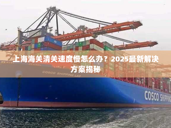 上海海关清关速度慢怎么办?2025最新解决方案揭秘 上海海关清关速度慢怎么办?2025最新解决方案揭秘
