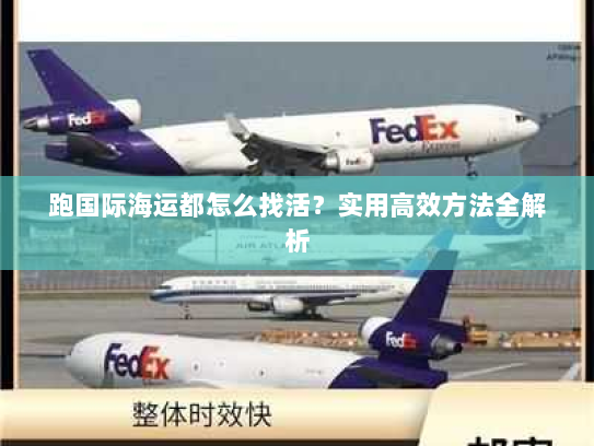 跑国际海运都怎么找活？实用高效方法全解析