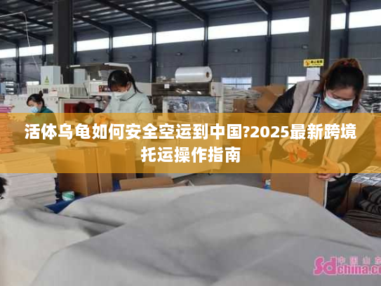 活体乌龟如何安全空运到中国?2025最新跨境托运操作指南