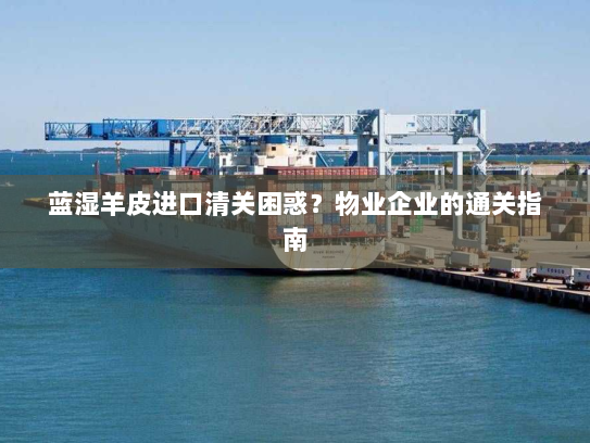 蓝湿羊皮进口清关困惑?物业企业的通关指南 蓝湿羊皮进口清关困惑?物业企业的通关指南