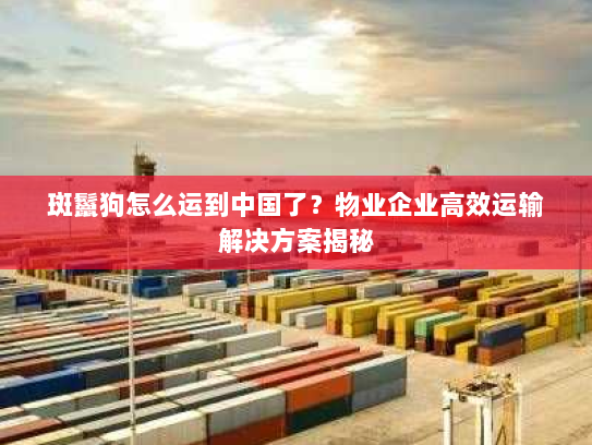 斑鬣狗怎么运到中国了？物业企业高效运输解决方案揭秘