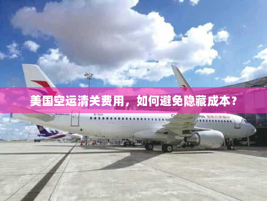 美国空运清关费用,如何避免隐藏成本? 美国空运清关费用,如何避免隐藏成本?