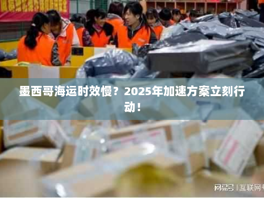 墨西哥海运时效慢？2025年加速方案立刻行动！