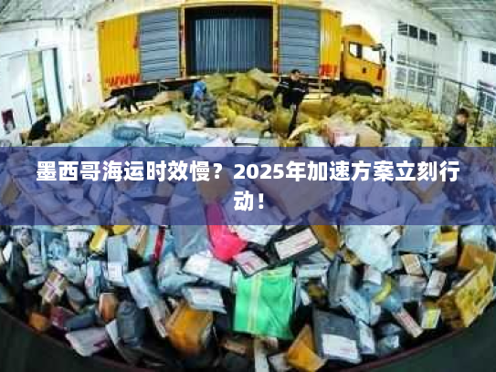 墨西哥海运时效慢？2025年加速方案立刻行动！