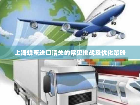 上海蜂蜜进口清关的常见挑战及优化策略