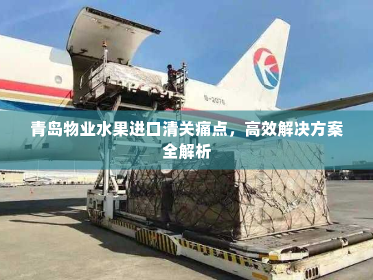 青岛物业水果进口清关痛点,高效解决方案全解析 青岛物业水果进口清关痛点,高效解决方案全解析